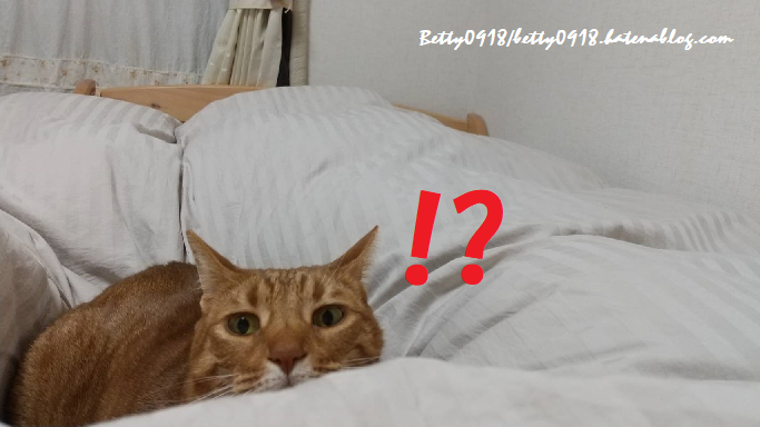 f:id:Betty0918:20210101100710p:plain
