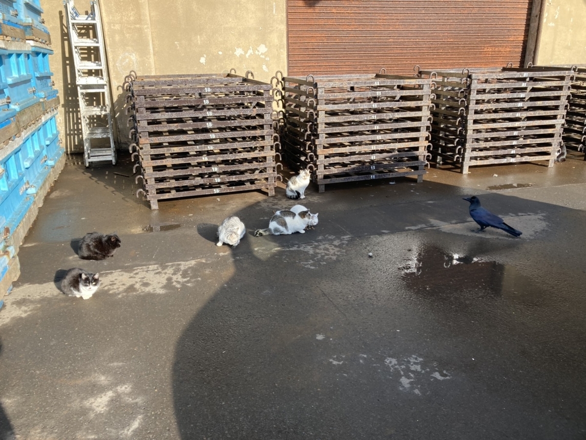 f:id:Betty0918:20210115153941j:plain