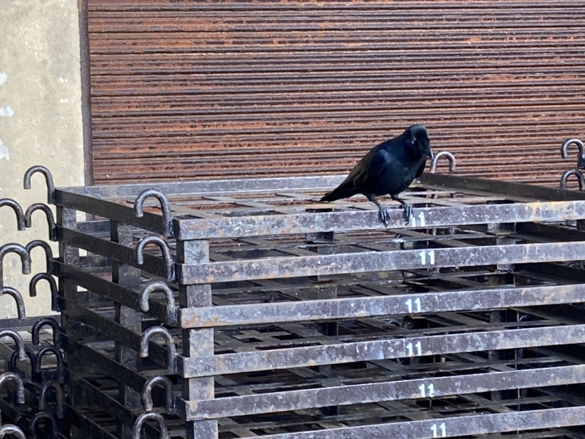 f:id:Betty0918:20210115154133j:plain