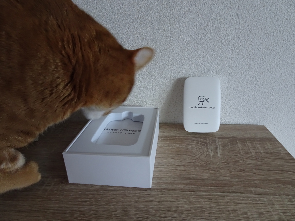 f:id:Betty0918:20210130145837j:plain