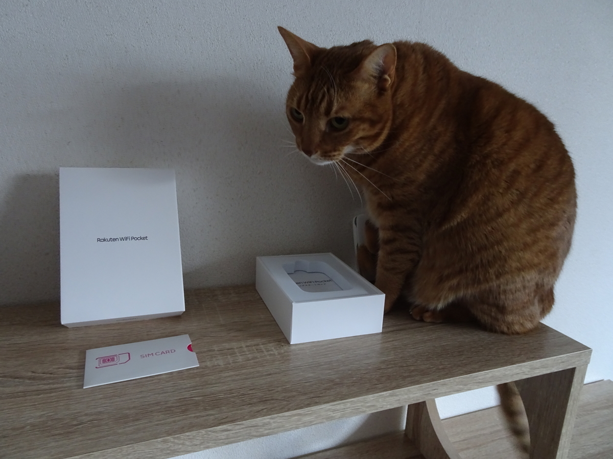 f:id:Betty0918:20210130145944j:plain