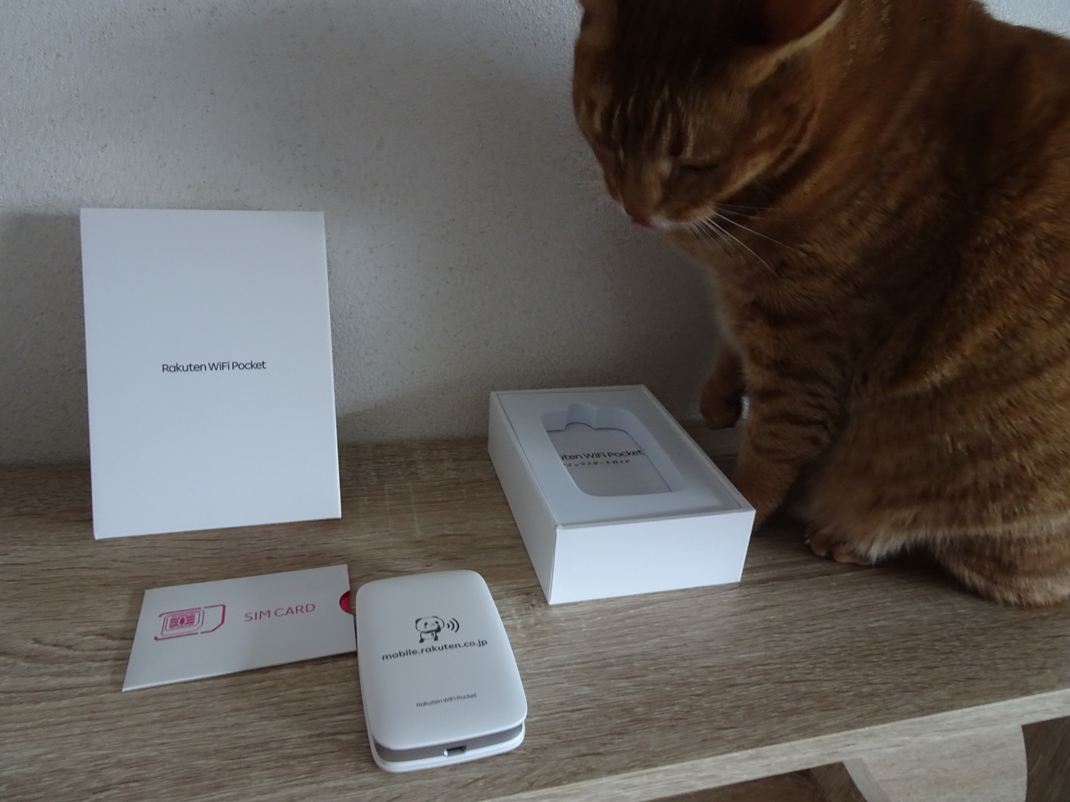 f:id:Betty0918:20210130150058j:plain