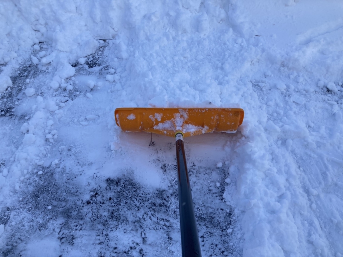 f:id:Betty0918:20210202115154j:plain