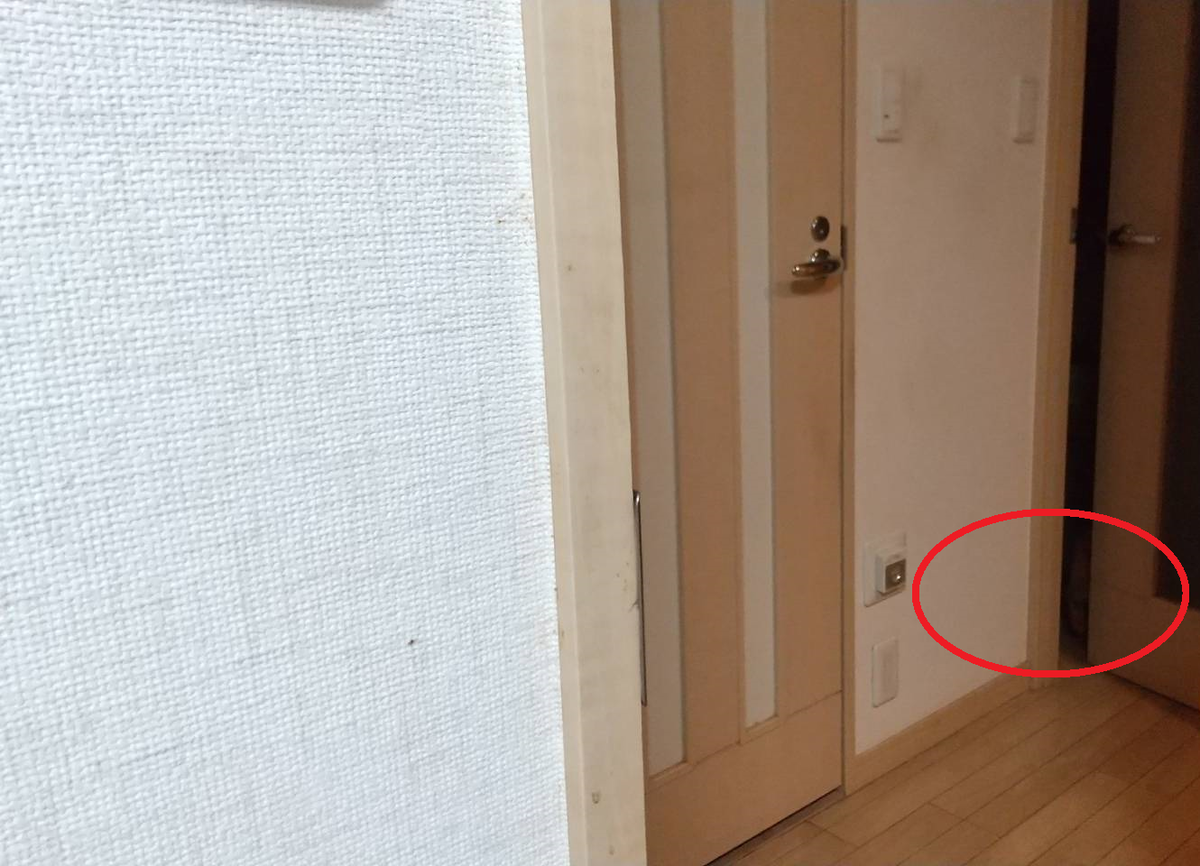 f:id:Betty0918:20210203162937p:plain