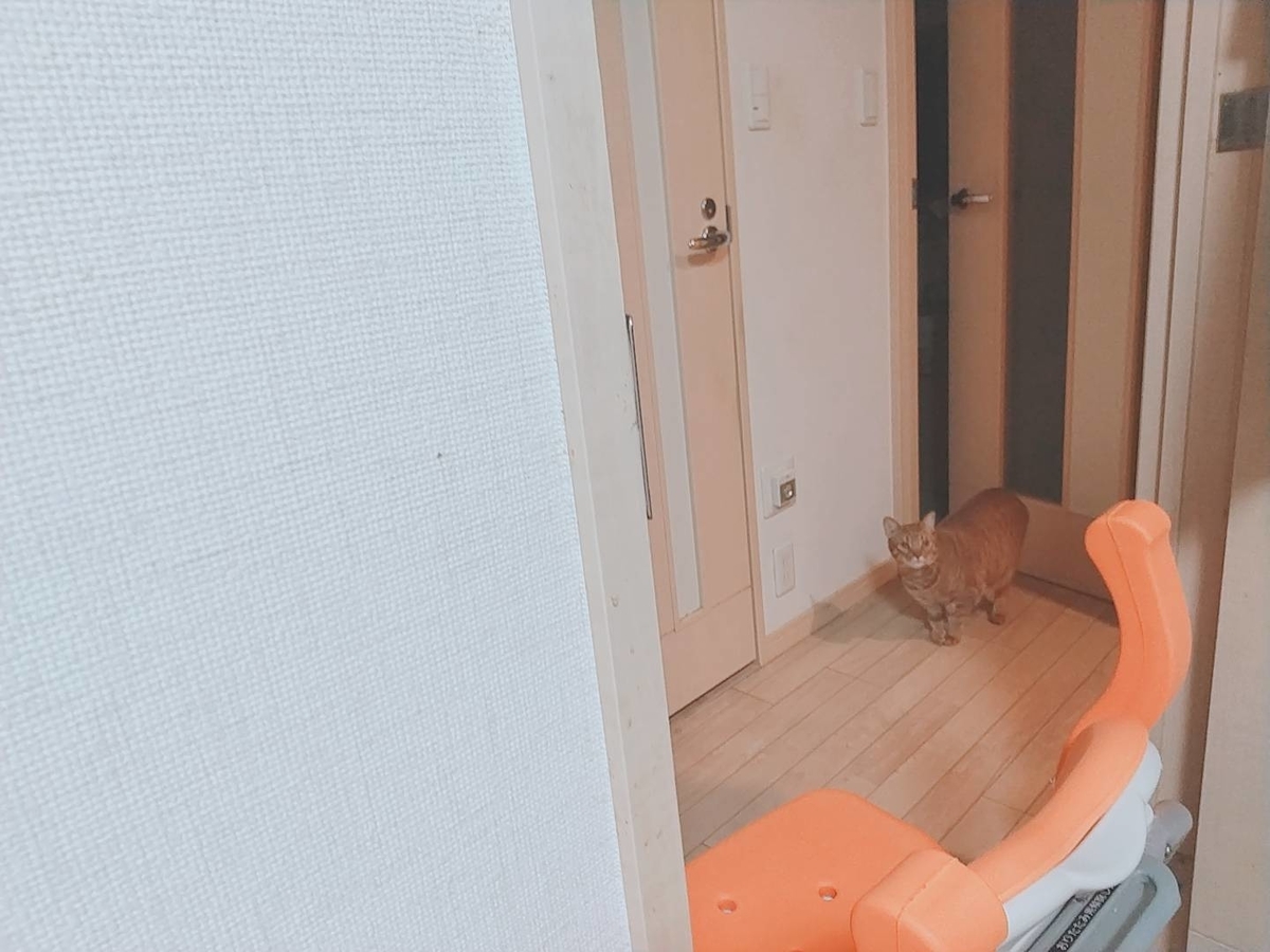 f:id:Betty0918:20210203163021j:plain