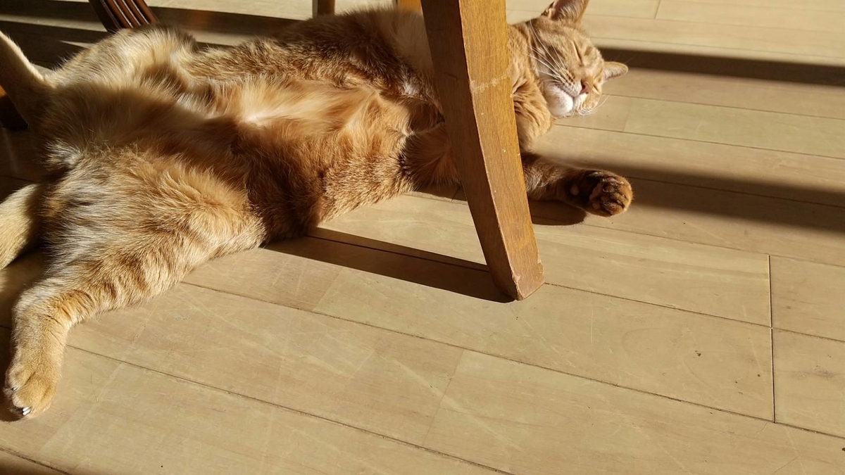 f:id:Betty0918:20210204090350j:plain