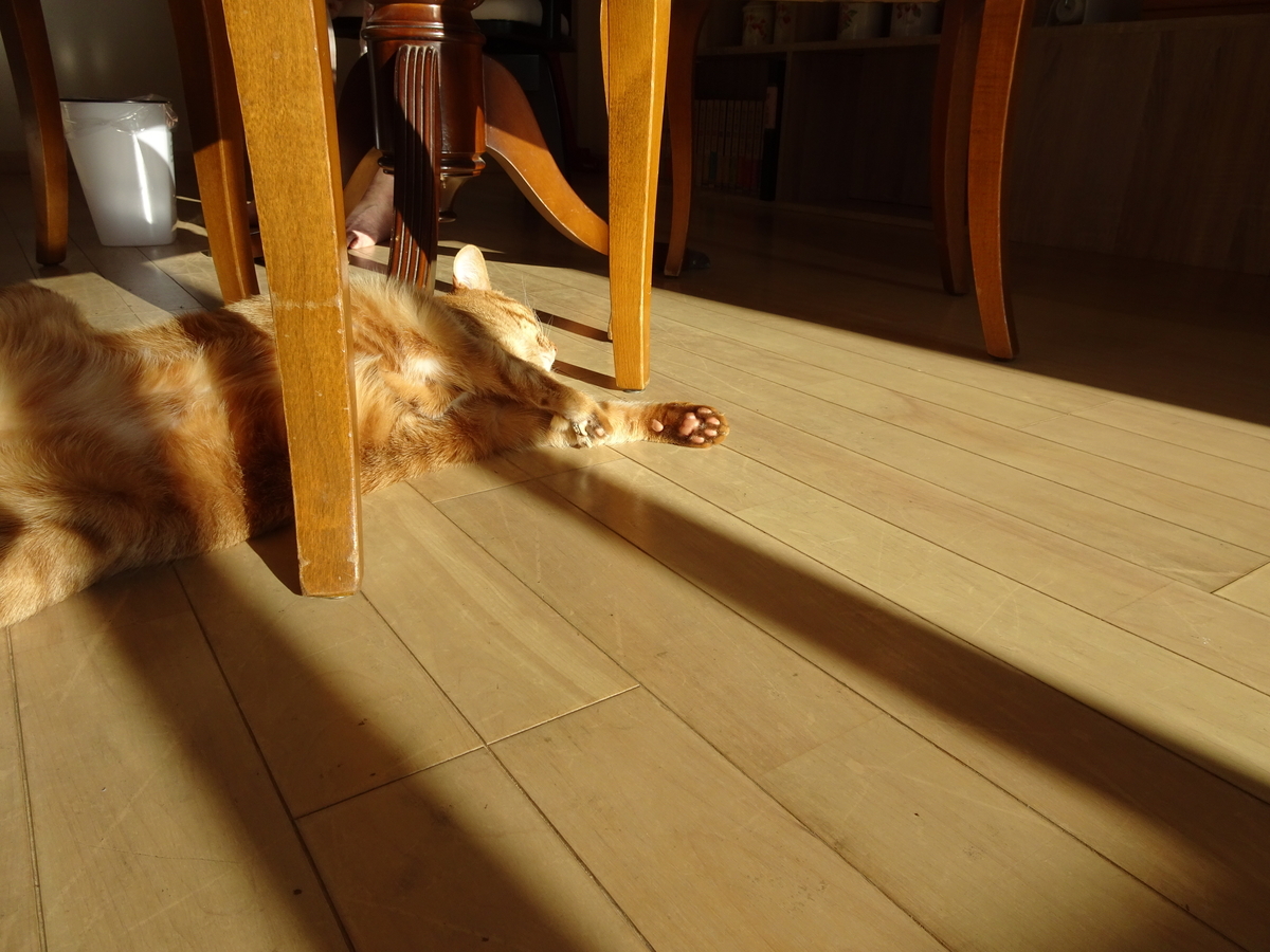 f:id:Betty0918:20210204090503j:plain