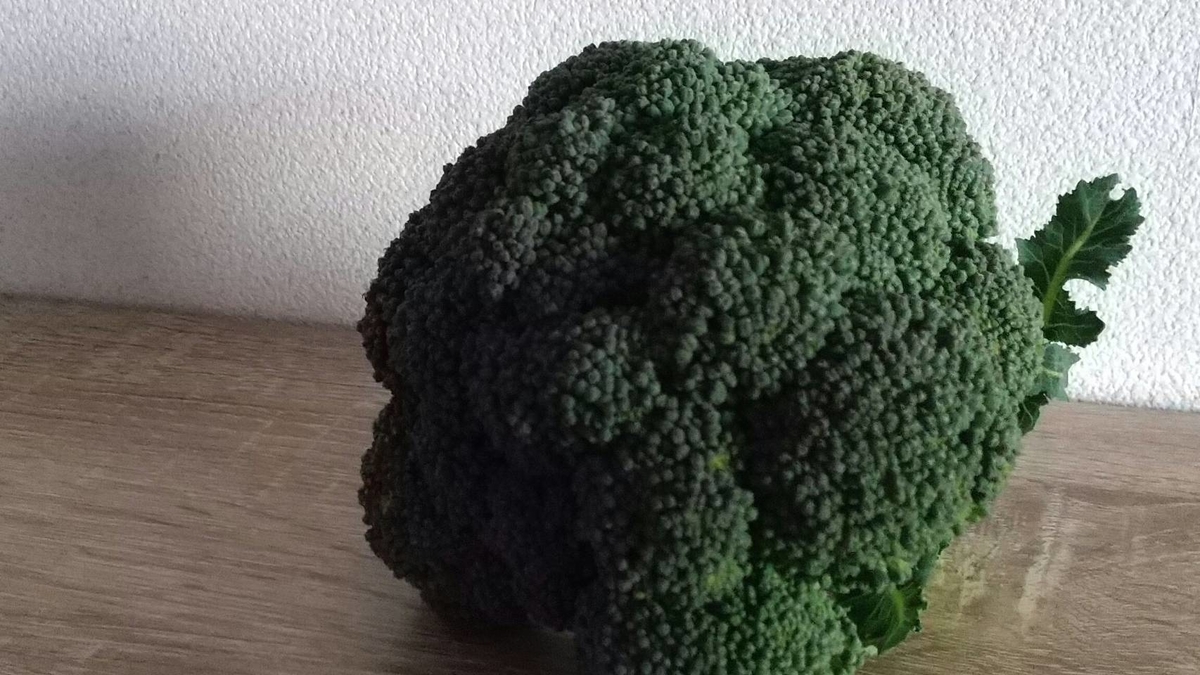 f:id:Betty0918:20210206195352j:plain