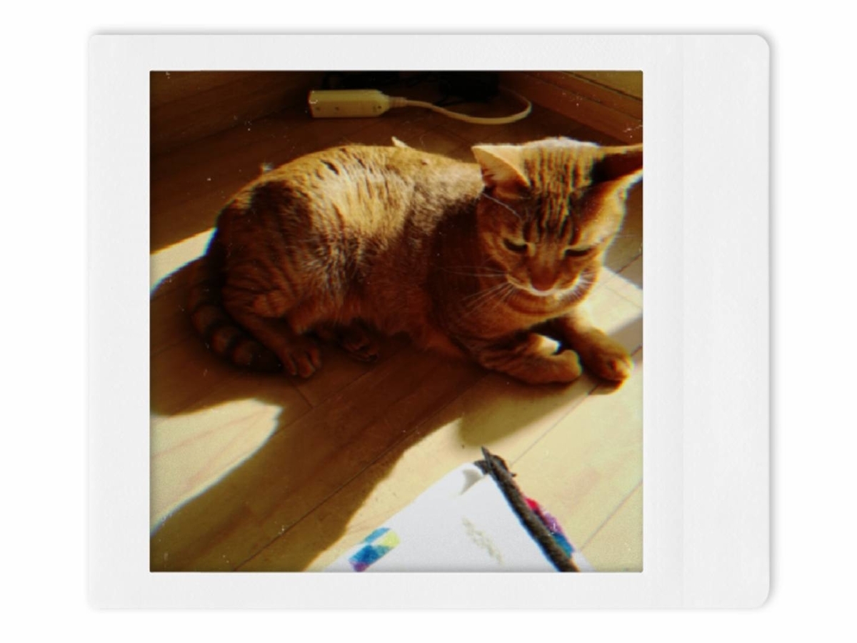 f:id:Betty0918:20210213192529j:plain