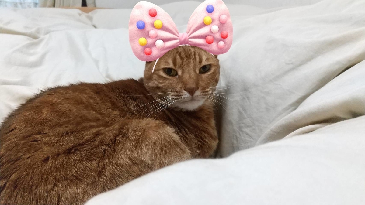 f:id:Betty0918:20210215115213j:plain