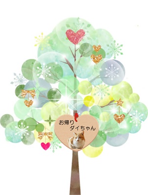 f:id:Betty0918:20210215115321j:plain