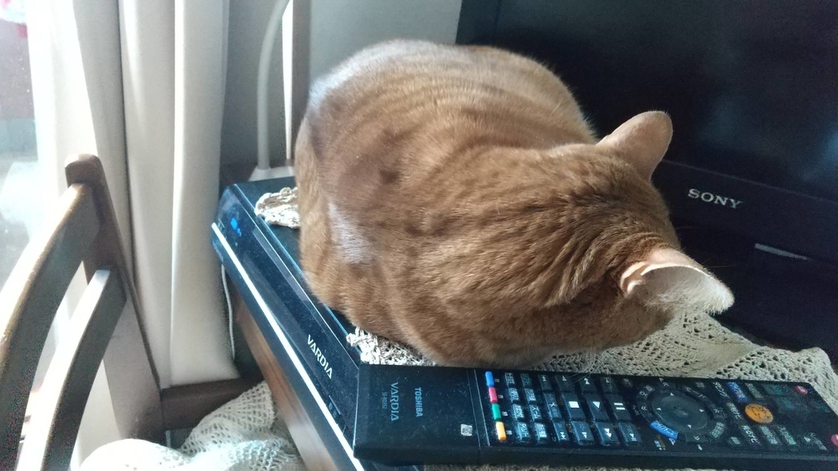 f:id:Betty0918:20210215115545j:plain