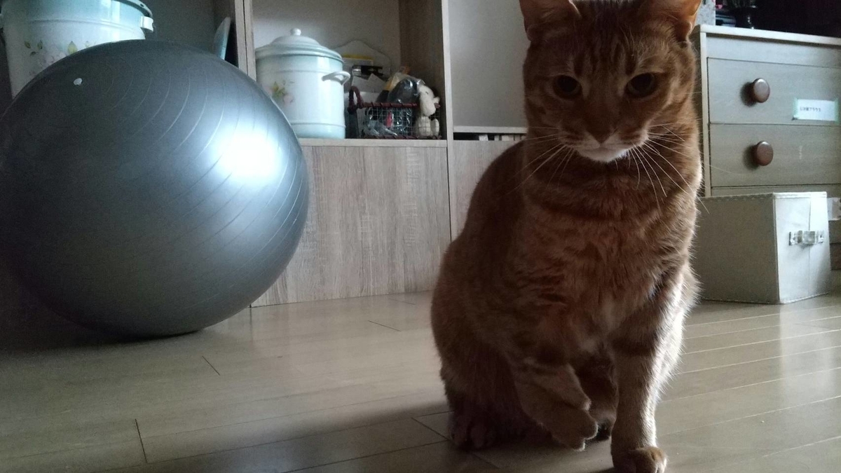 f:id:Betty0918:20210220101956j:plain