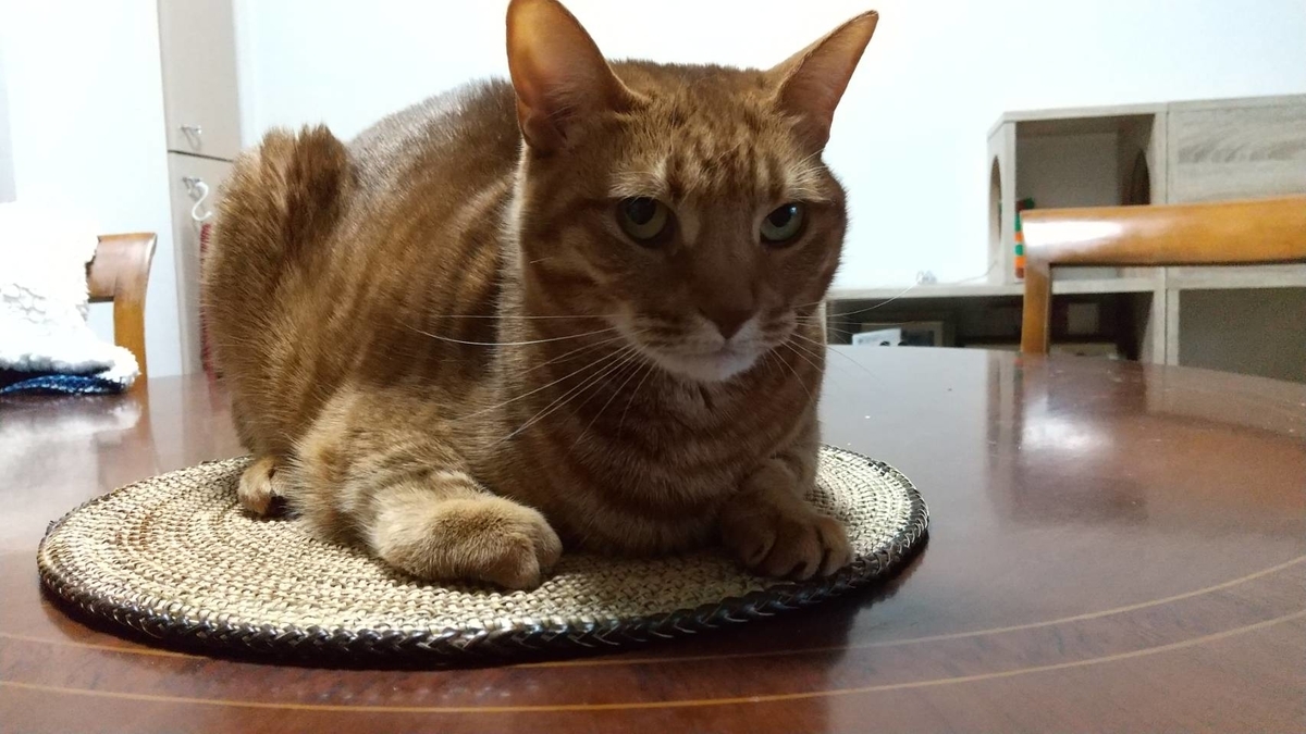 f:id:Betty0918:20210224173836j:plain