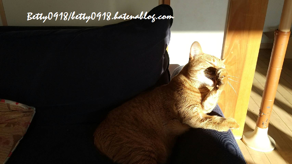 f:id:Betty0918:20210225195448p:plain