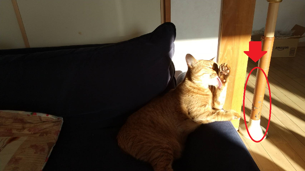 f:id:Betty0918:20210225195518p:plain