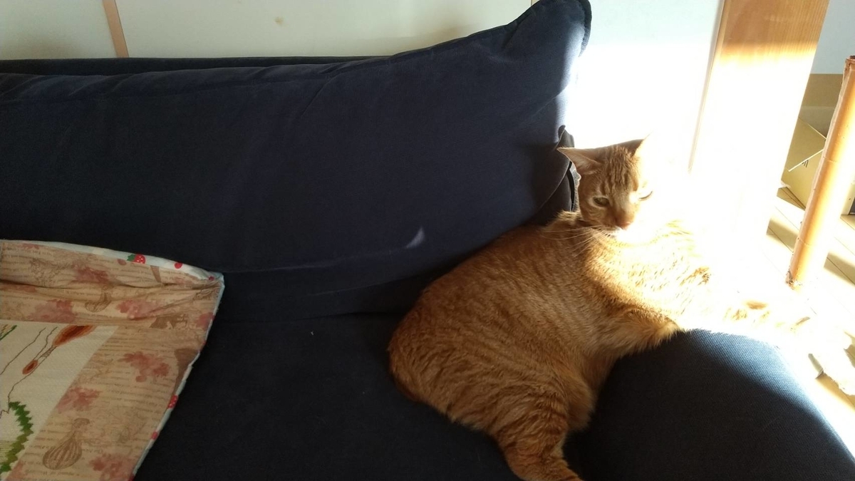 f:id:Betty0918:20210225195552j:plain