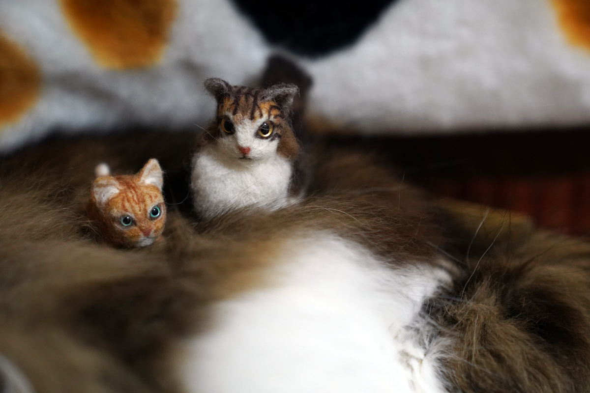 f:id:Betty0918:20210227104915p:plain