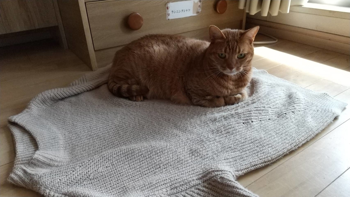 f:id:Betty0918:20210227105410j:plain