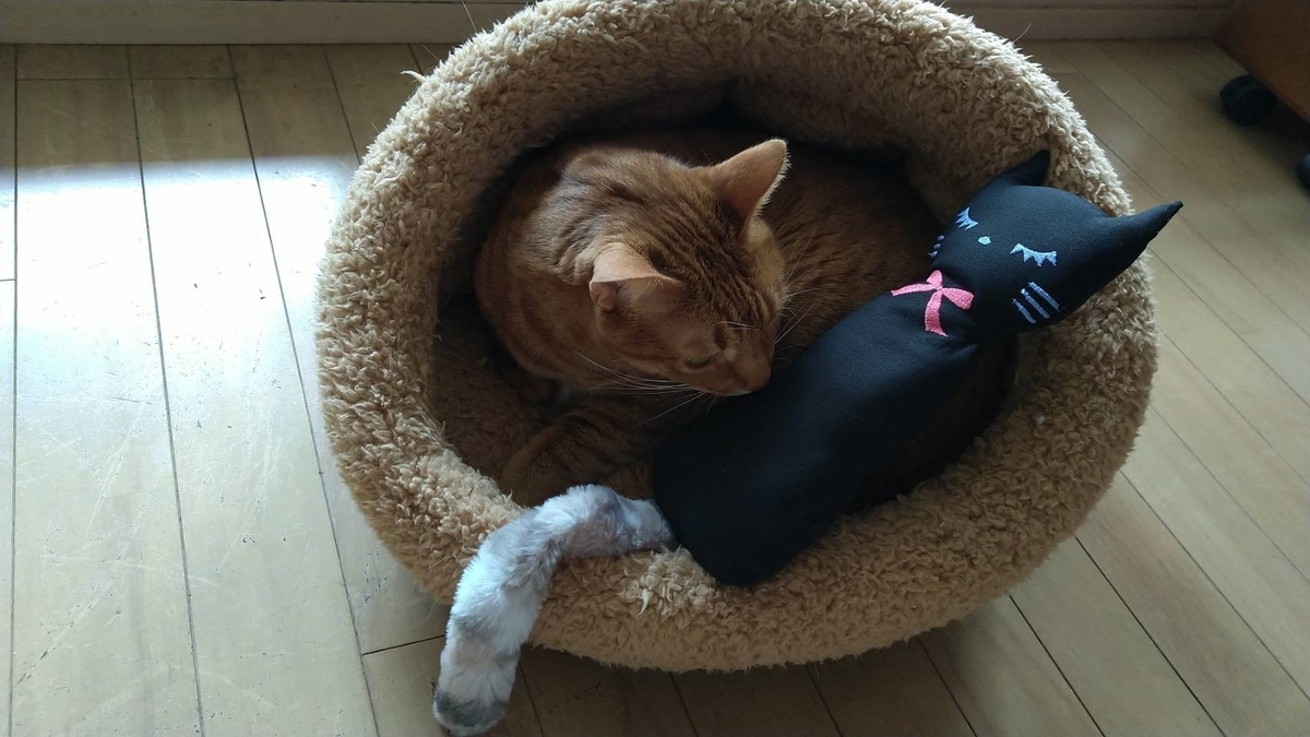 f:id:Betty0918:20210227144208j:plain