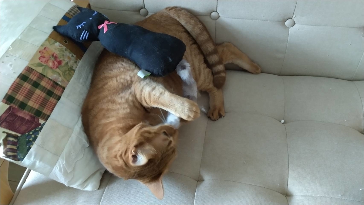 f:id:Betty0918:20210227144325j:plain