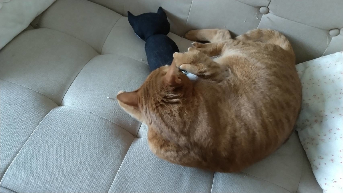 f:id:Betty0918:20210227144442j:plain