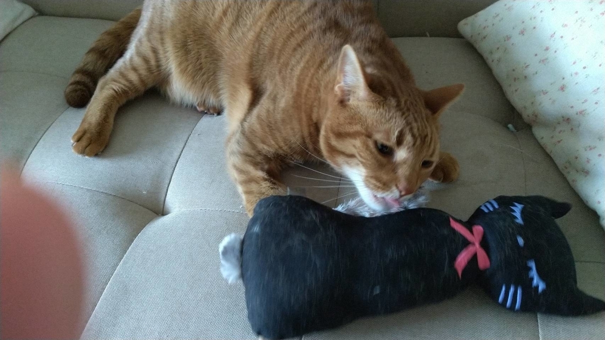 f:id:Betty0918:20210227144809j:plain