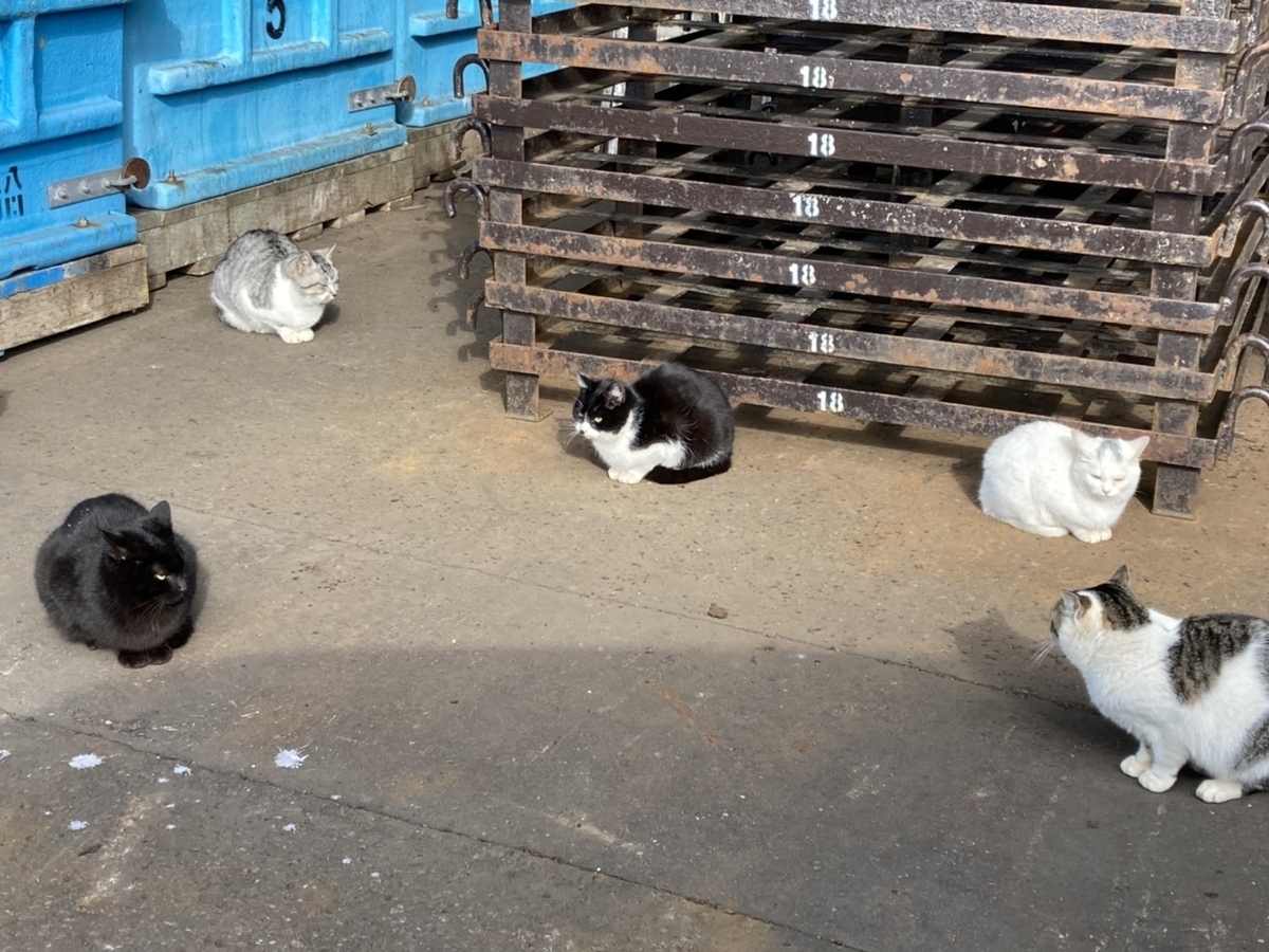 f:id:Betty0918:20210306210928j:plain