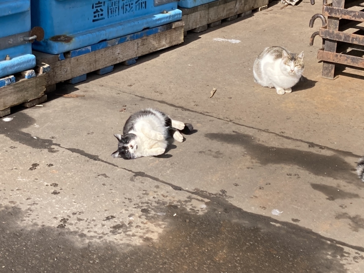 f:id:Betty0918:20210316181733j:plain