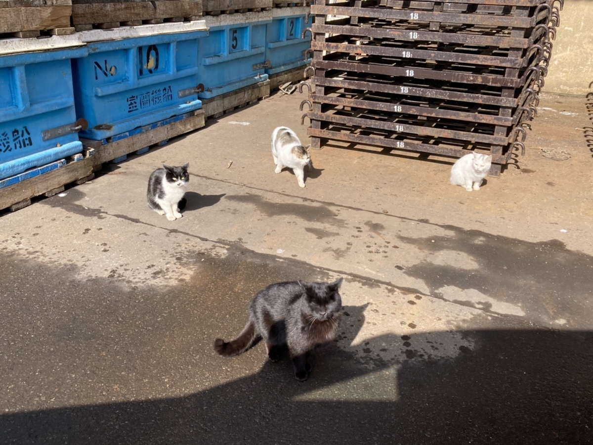 f:id:Betty0918:20210318171217j:plain