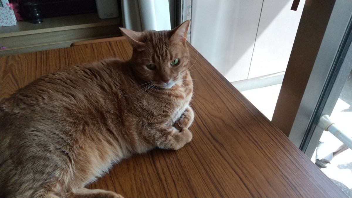 f:id:Betty0918:20210320213249j:plain