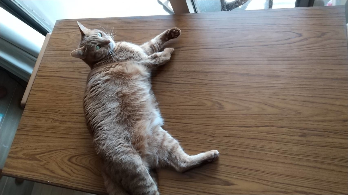 f:id:Betty0918:20210320213325j:plain