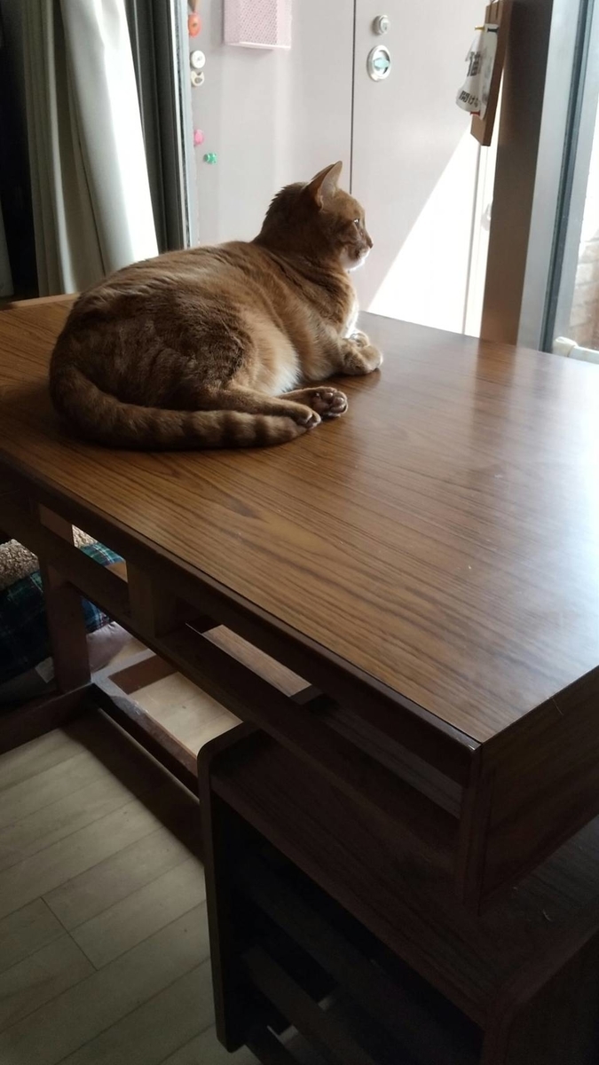 f:id:Betty0918:20210320213508j:plain