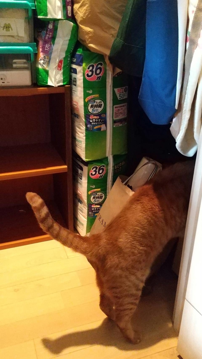 f:id:Betty0918:20210324162923j:plain