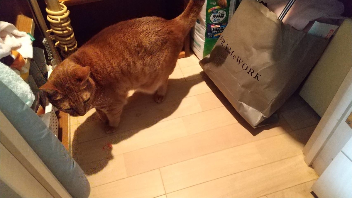 f:id:Betty0918:20210324163041j:plain