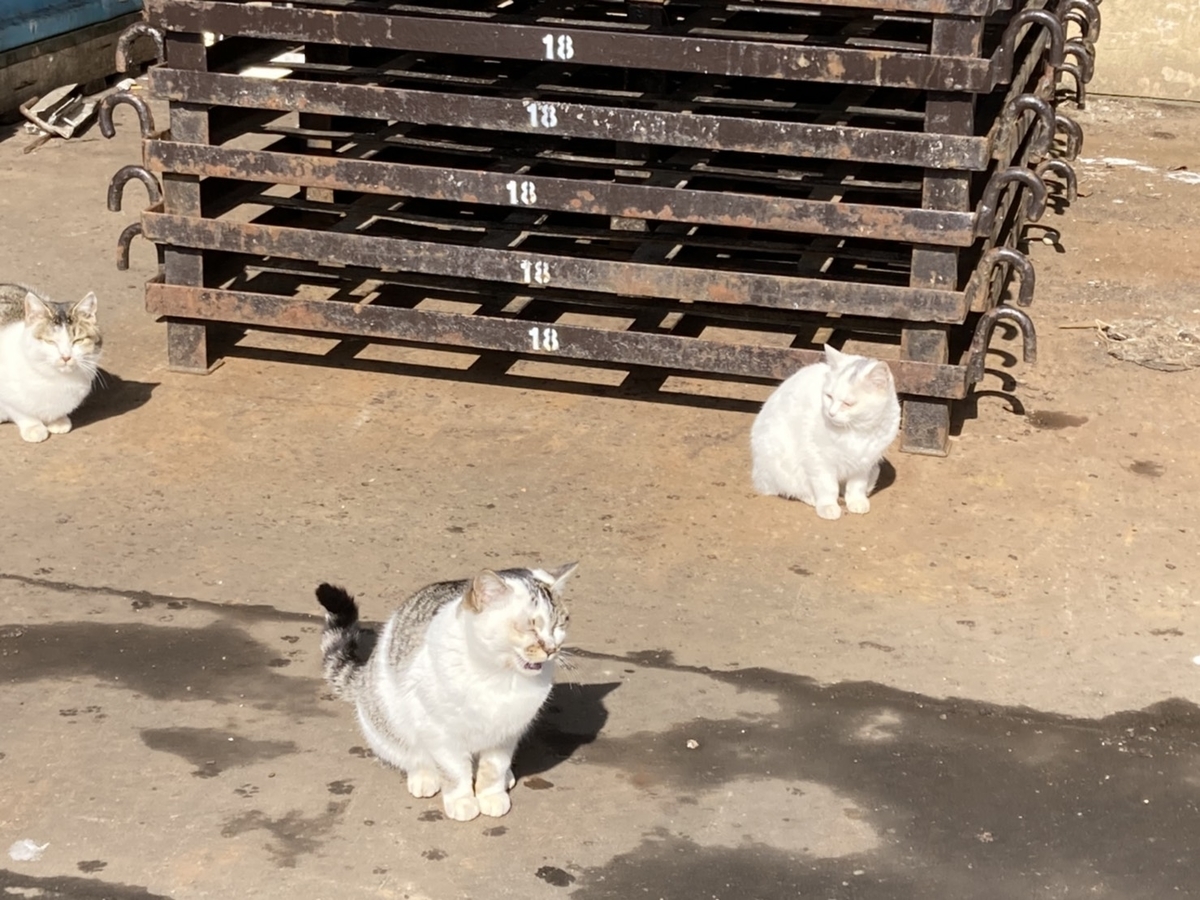 f:id:Betty0918:20210324165108j:plain