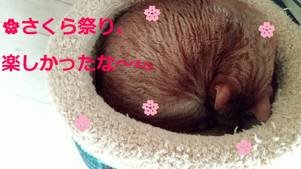 f:id:Betty0918:20210328111208p:plain