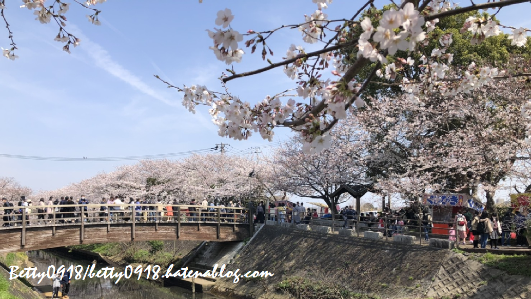 f:id:Betty0918:20210328112312p:plain