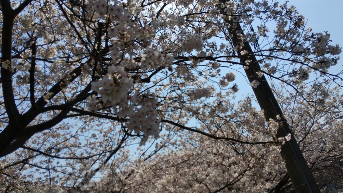 f:id:Betty0918:20210328112546j:plain