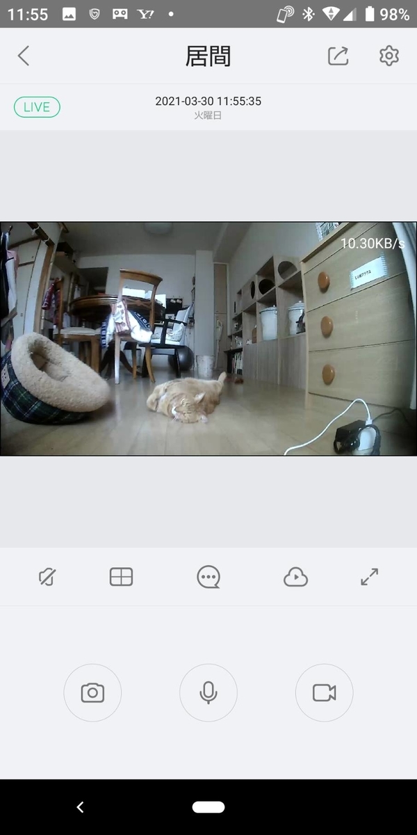 f:id:Betty0918:20210402180102j:plain