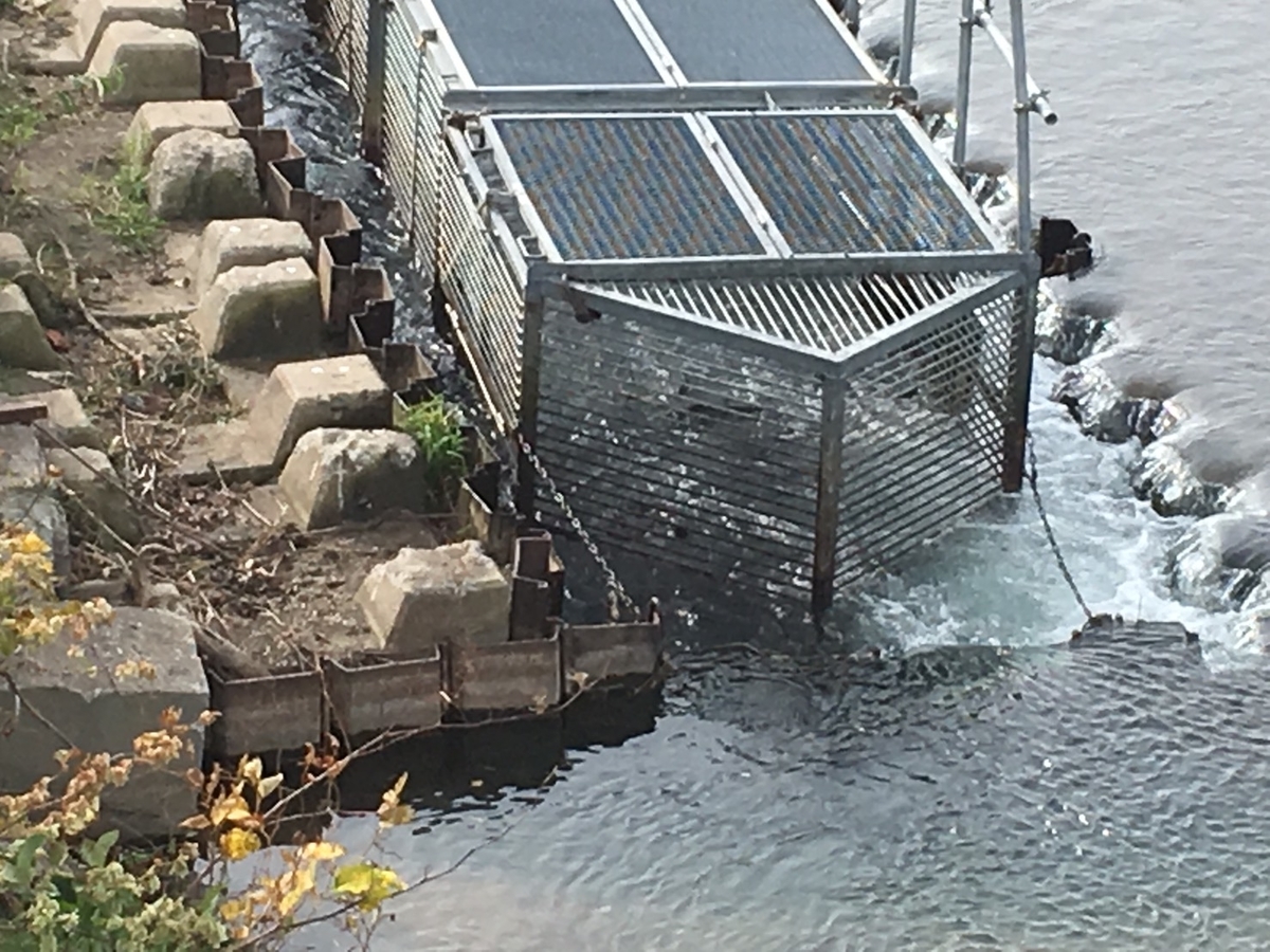 f:id:Betty0918:20210405171731j:plain