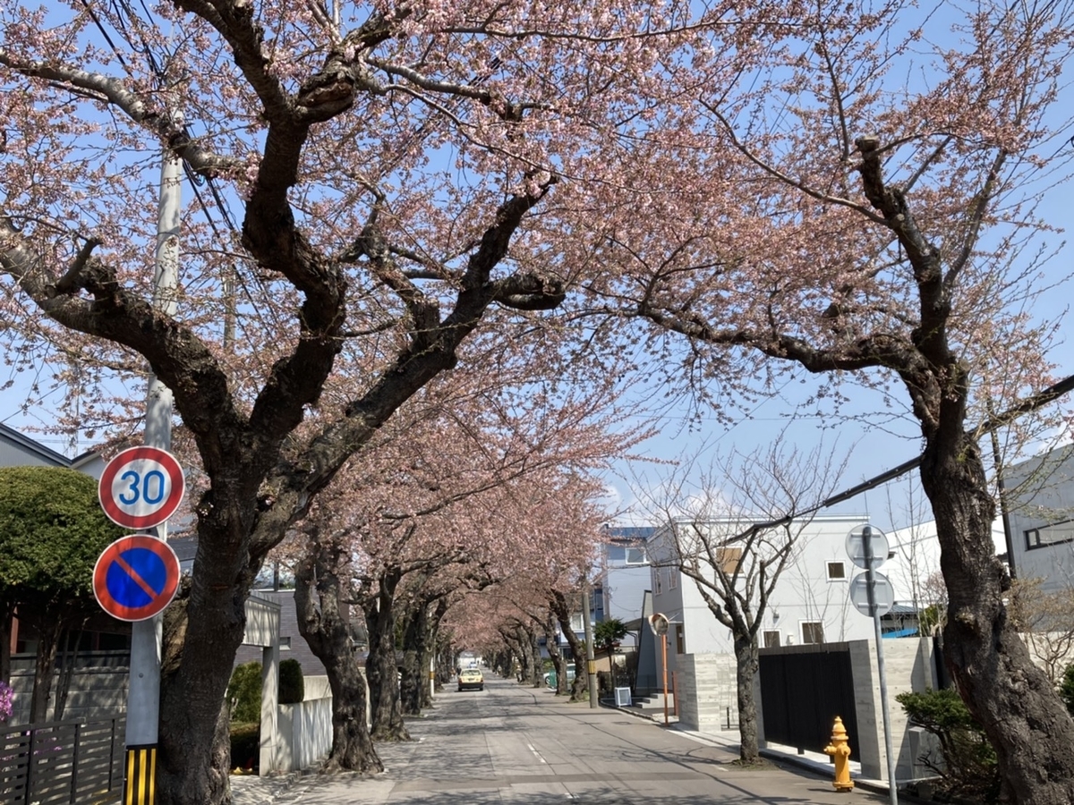 f:id:Betty0918:20210420142557j:plain