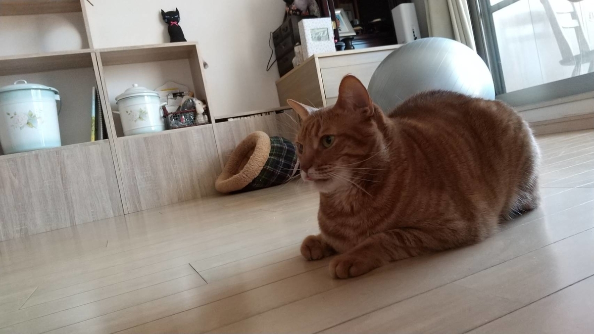 f:id:Betty0918:20210426080035j:plain