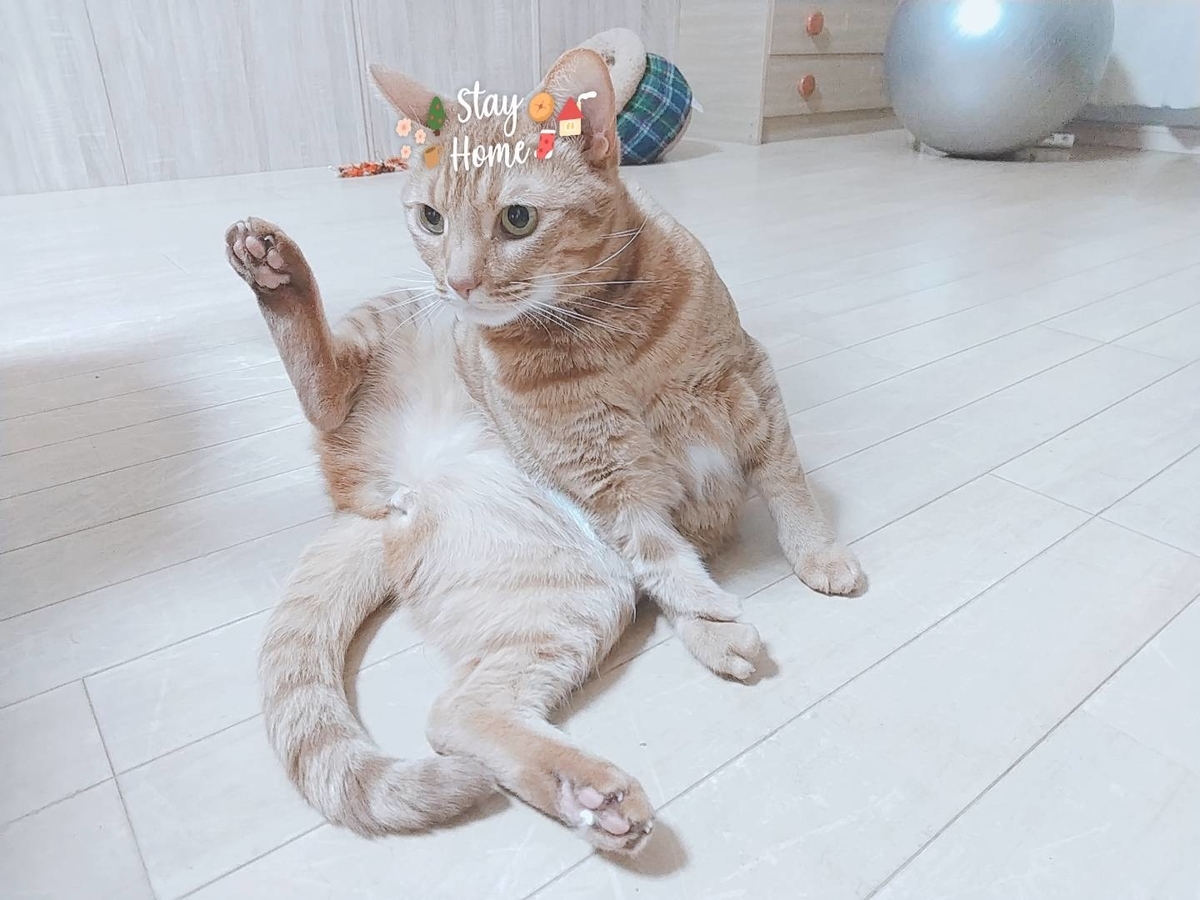 f:id:Betty0918:20210428192624j:plain