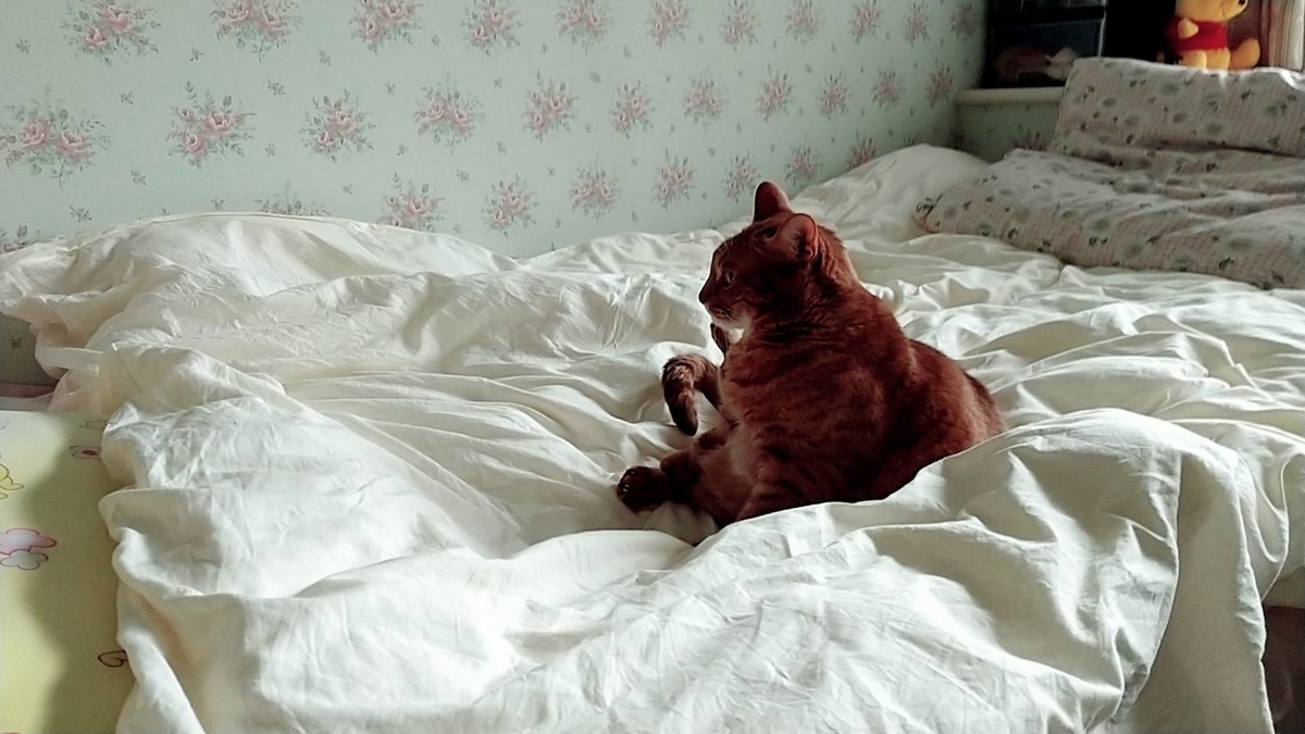 f:id:Betty0918:20210513151015j:plain