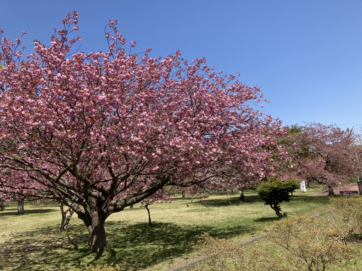 f:id:Betty0918:20210514210924j:plain