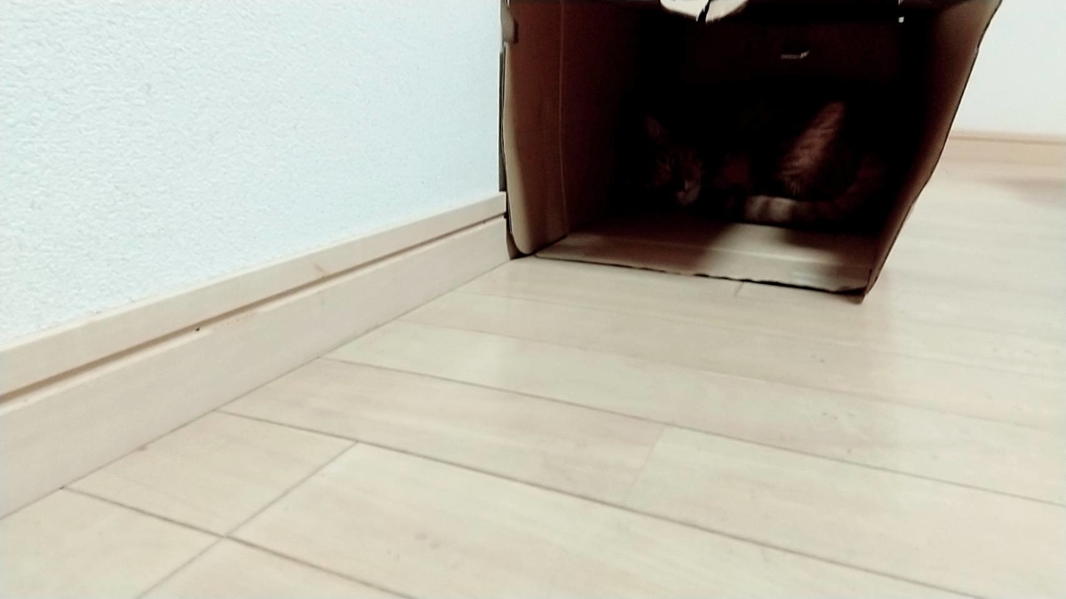 f:id:Betty0918:20210514211611j:plain