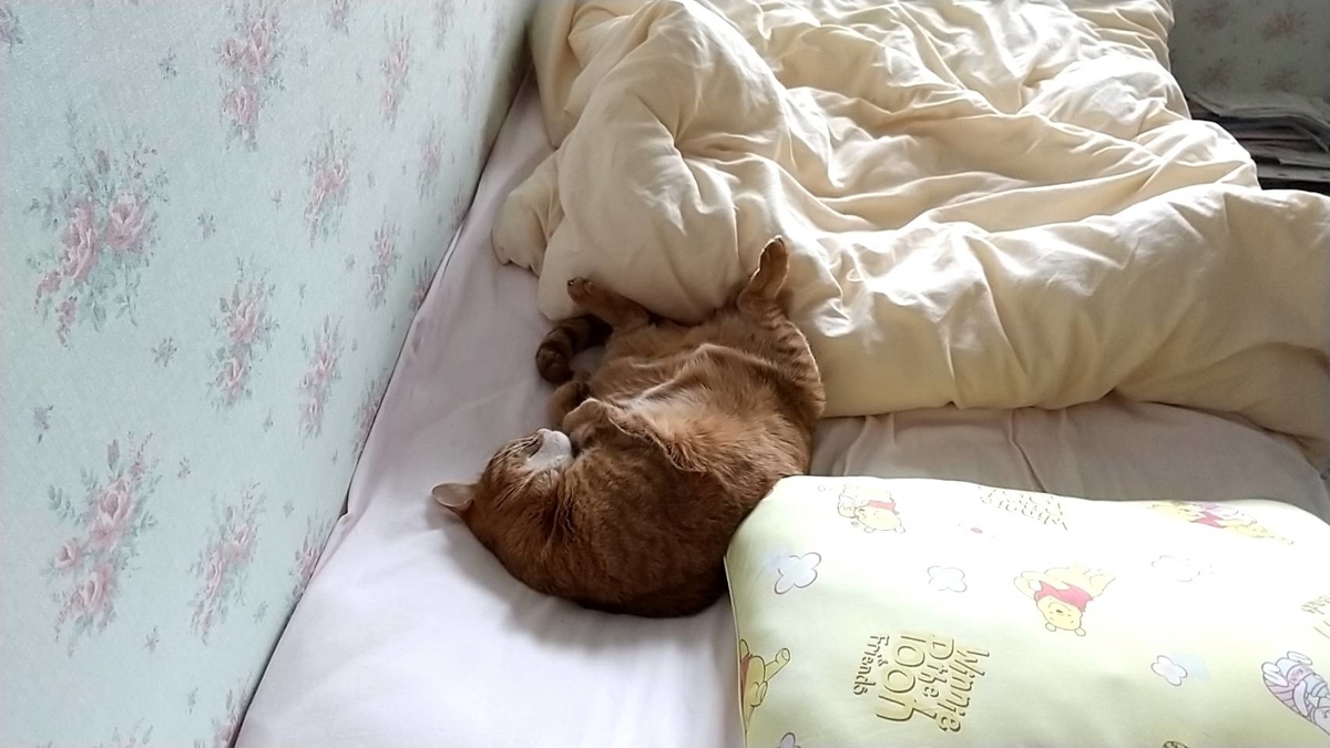 f:id:Betty0918:20210521135845j:plain