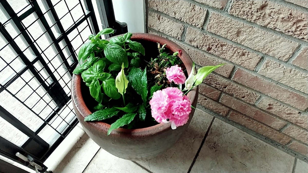 f:id:Betty0918:20210606101015j:plain