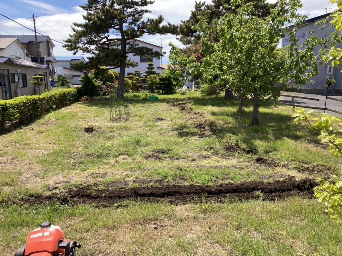 f:id:Betty0918:20210607221328j:plain